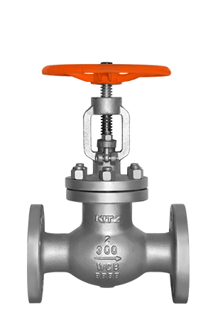 گلوب ولو (سوزنی)